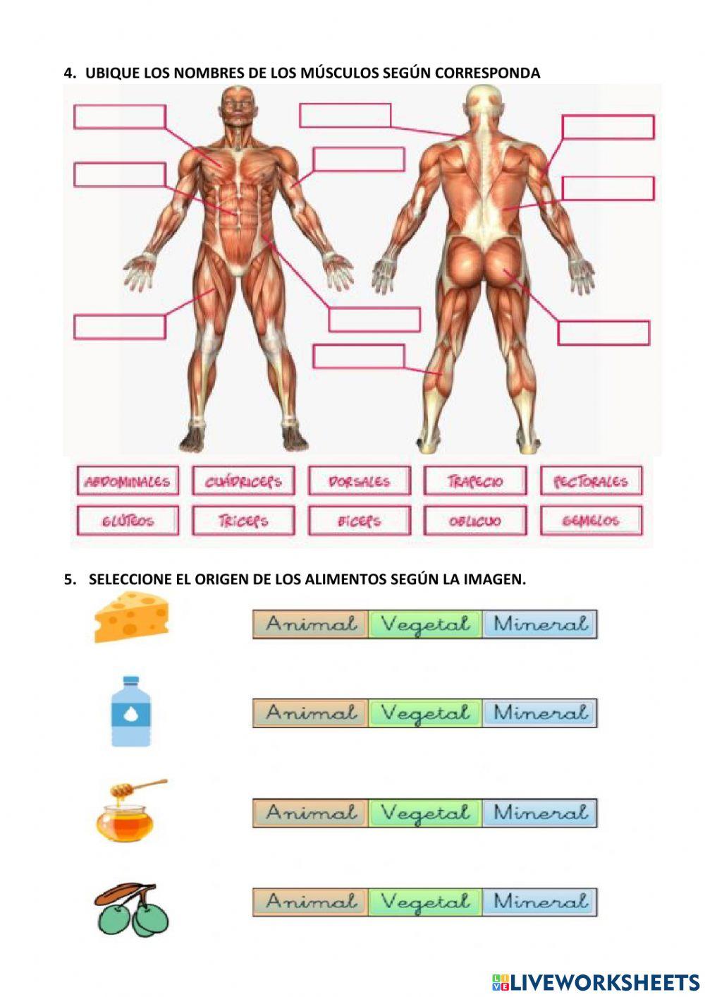 Evaluación ciencia 2p- 2q