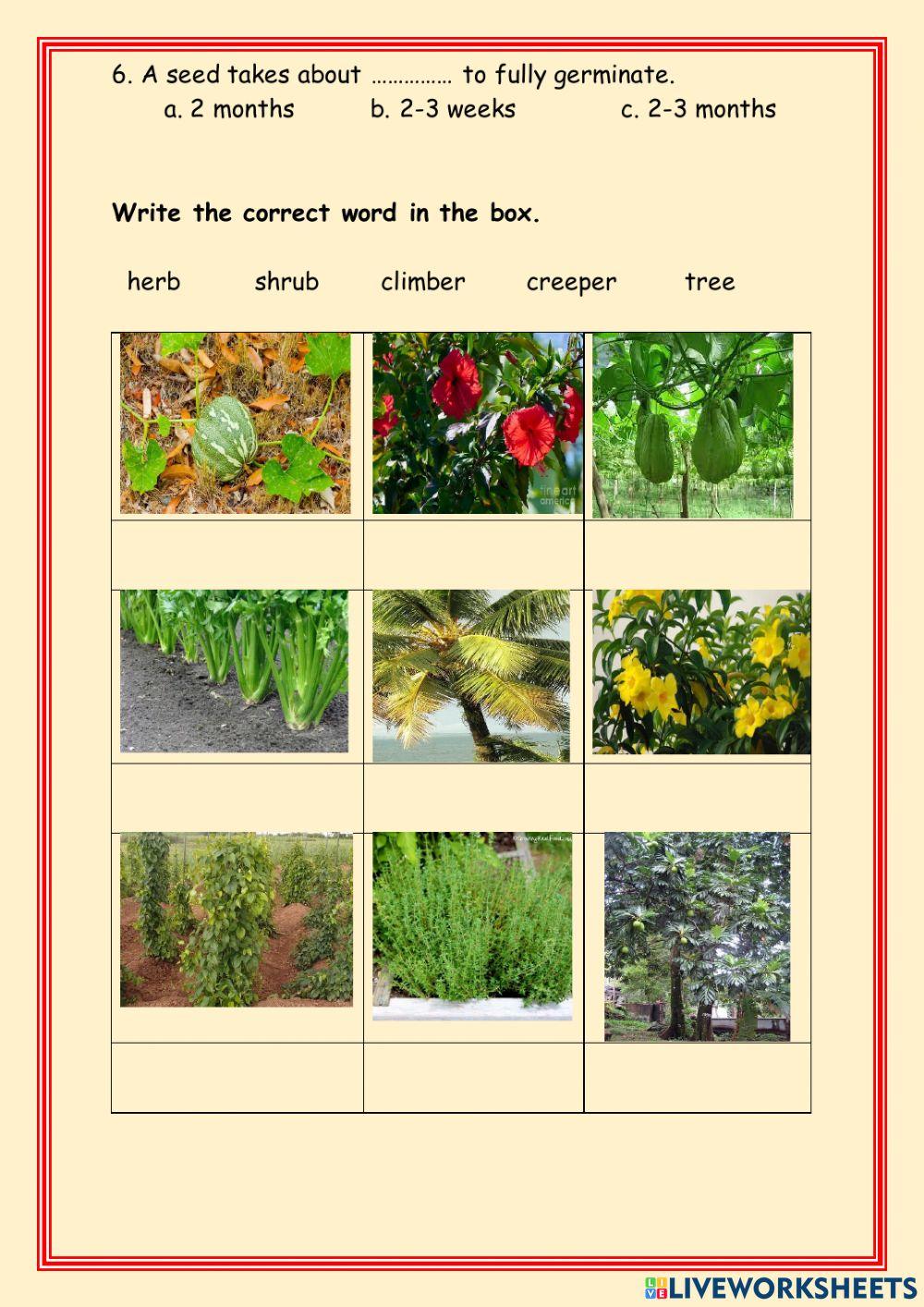 Science Test Grade 3