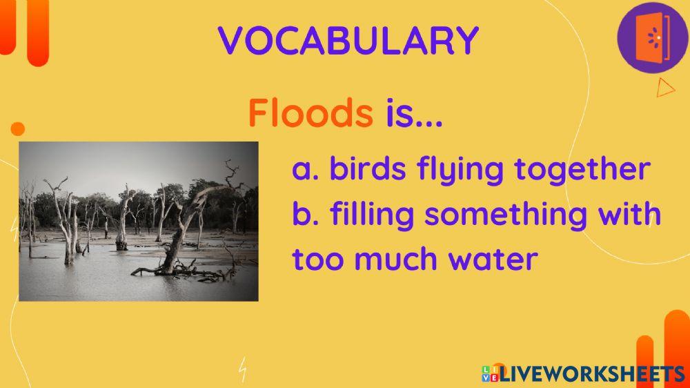 WE DON'T TALK ABOUT BRUNO vocab