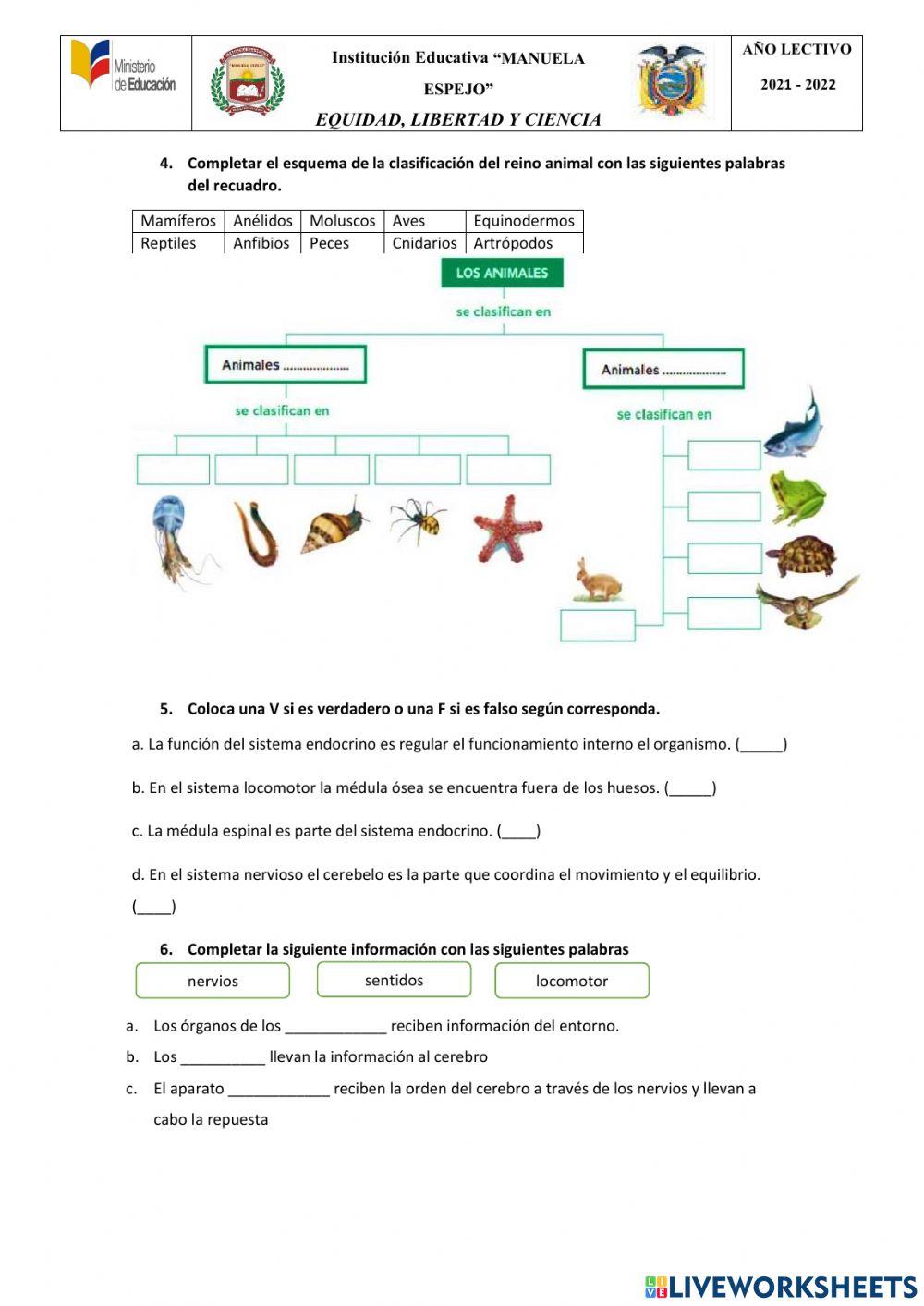 Evaluación del primer quimestre