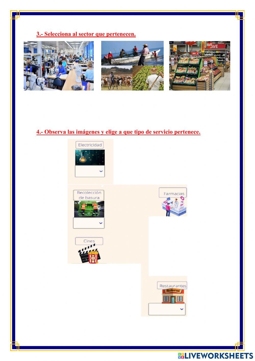 Lección Estudios Sociales