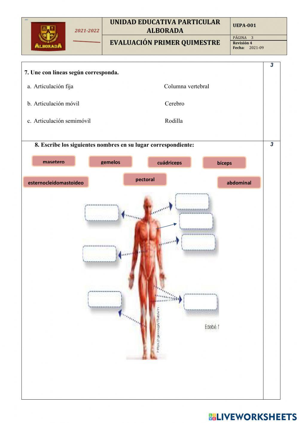 Examen Primer Quimestre