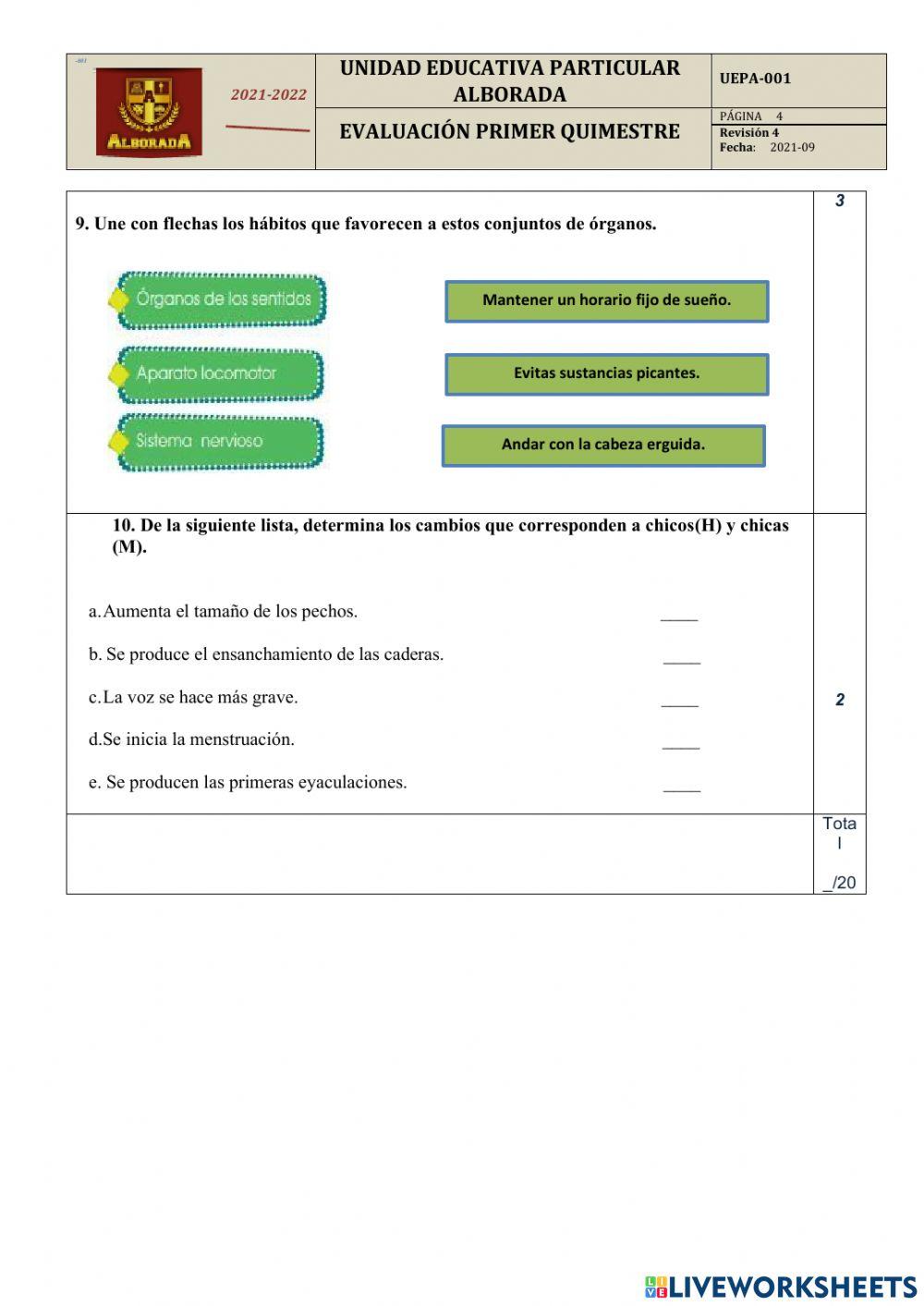 Examen Primer Quimestre