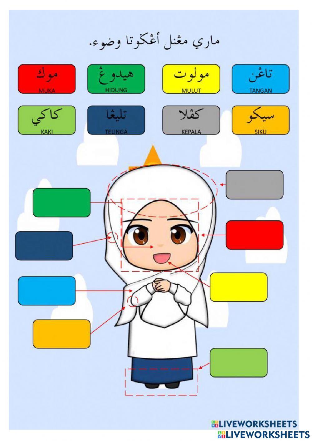 Mengenal anggota wudhu perempuan