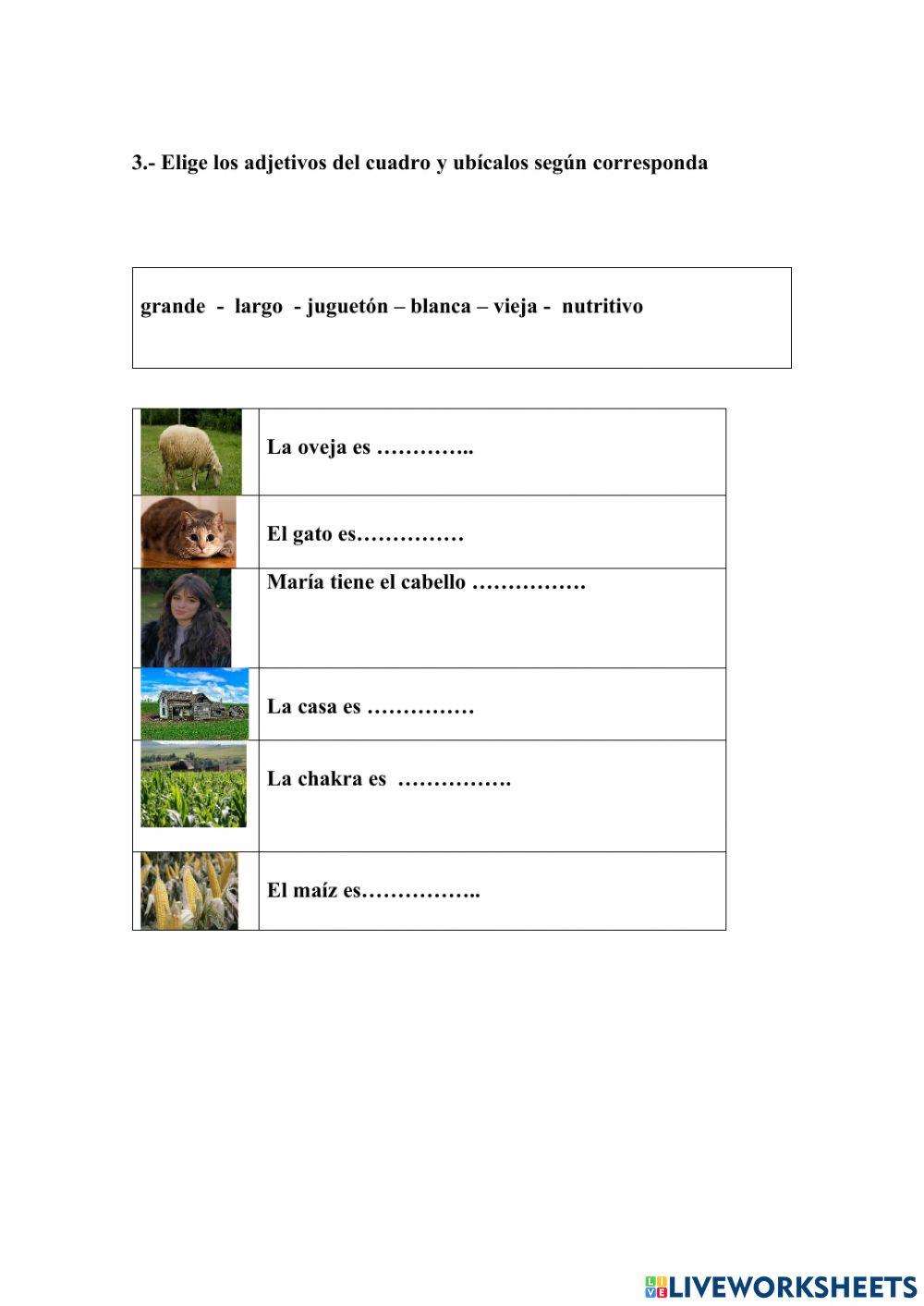 Sustantivos y adjetivos