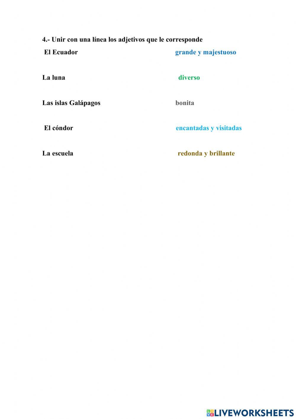 Sustantivos y adjetivos