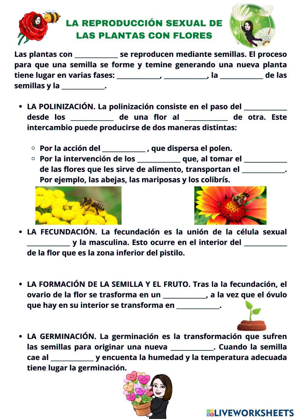 La reproducción de las plantas con flores