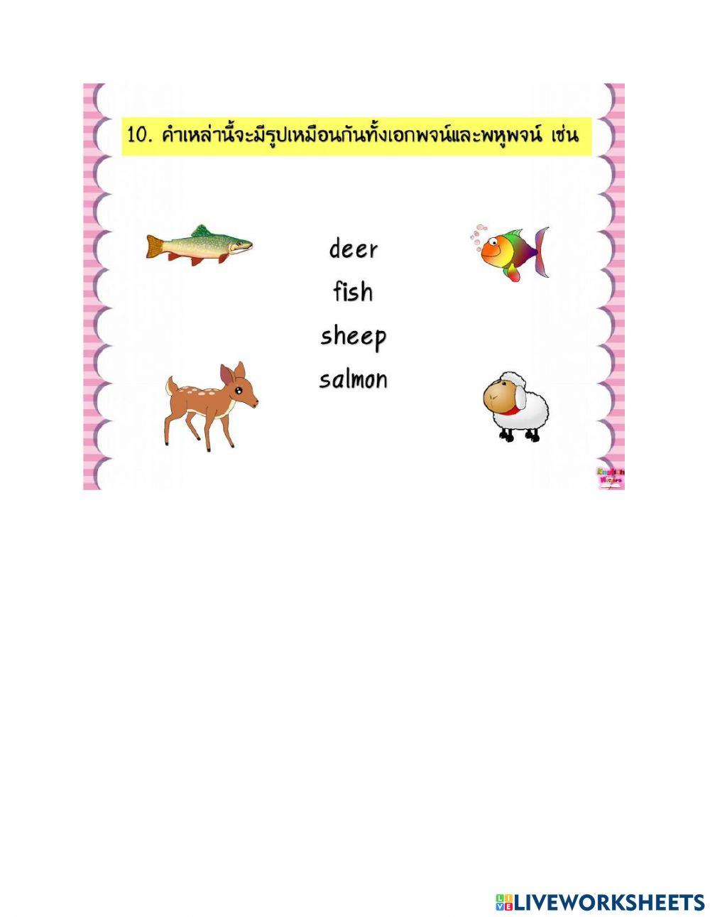 Exercise 3: Plural Nouns