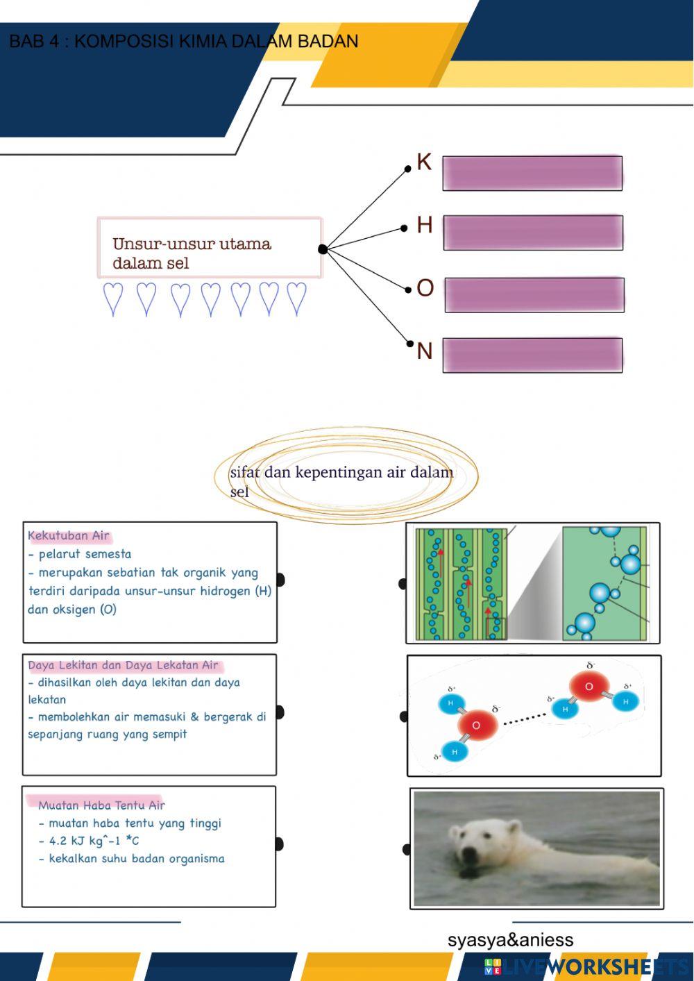 kump 8 - komposisi kimia dalam sel