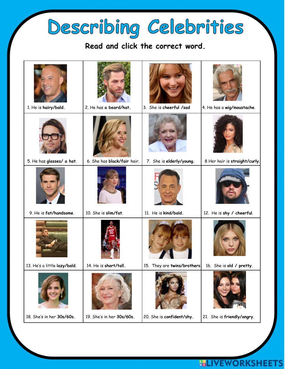 Describing Celebrities