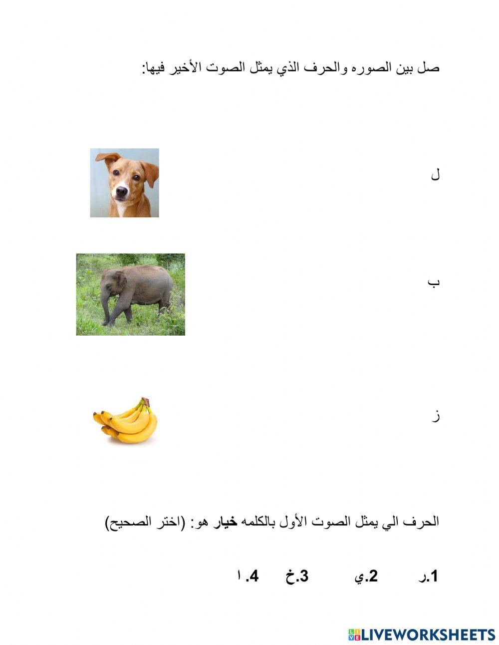 מודעות פונולוגית