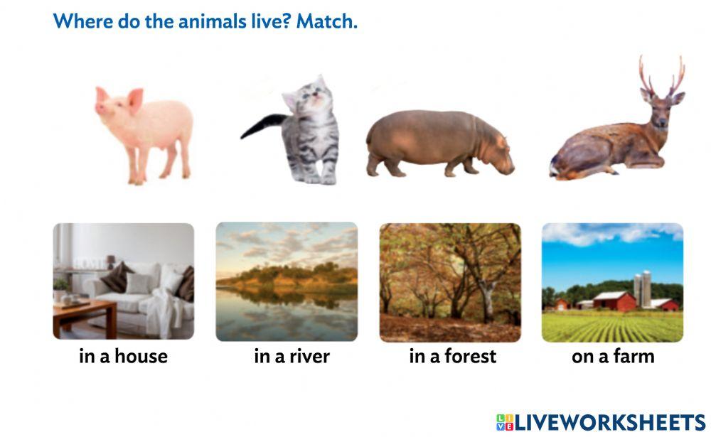 Where do the animals live? Match