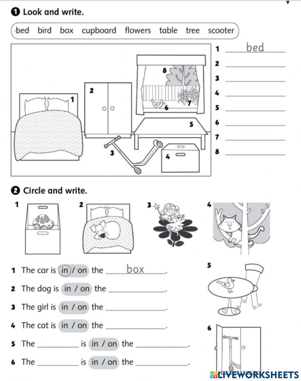 In,on Let-s explore 2