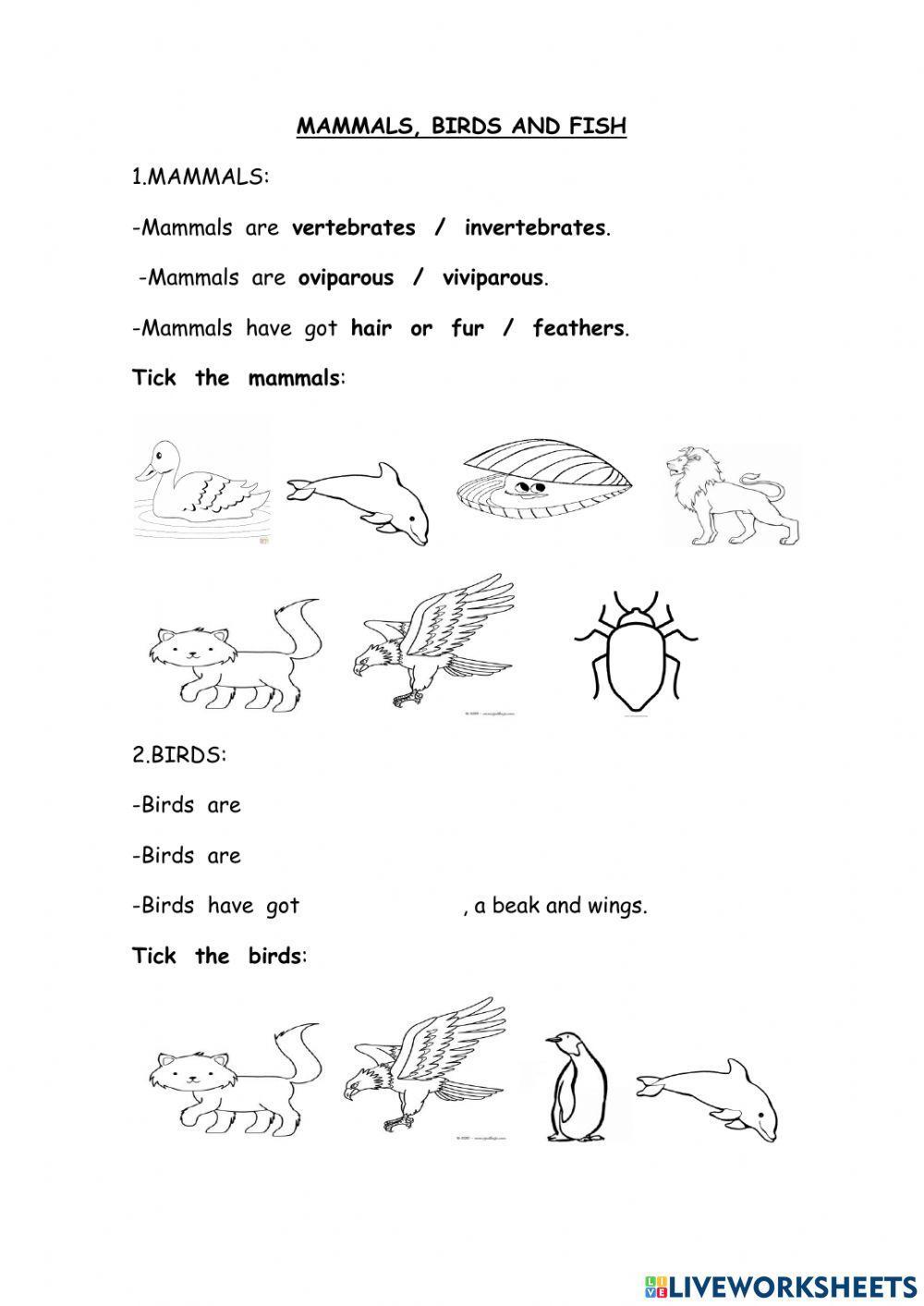 Mammals, birds and fish