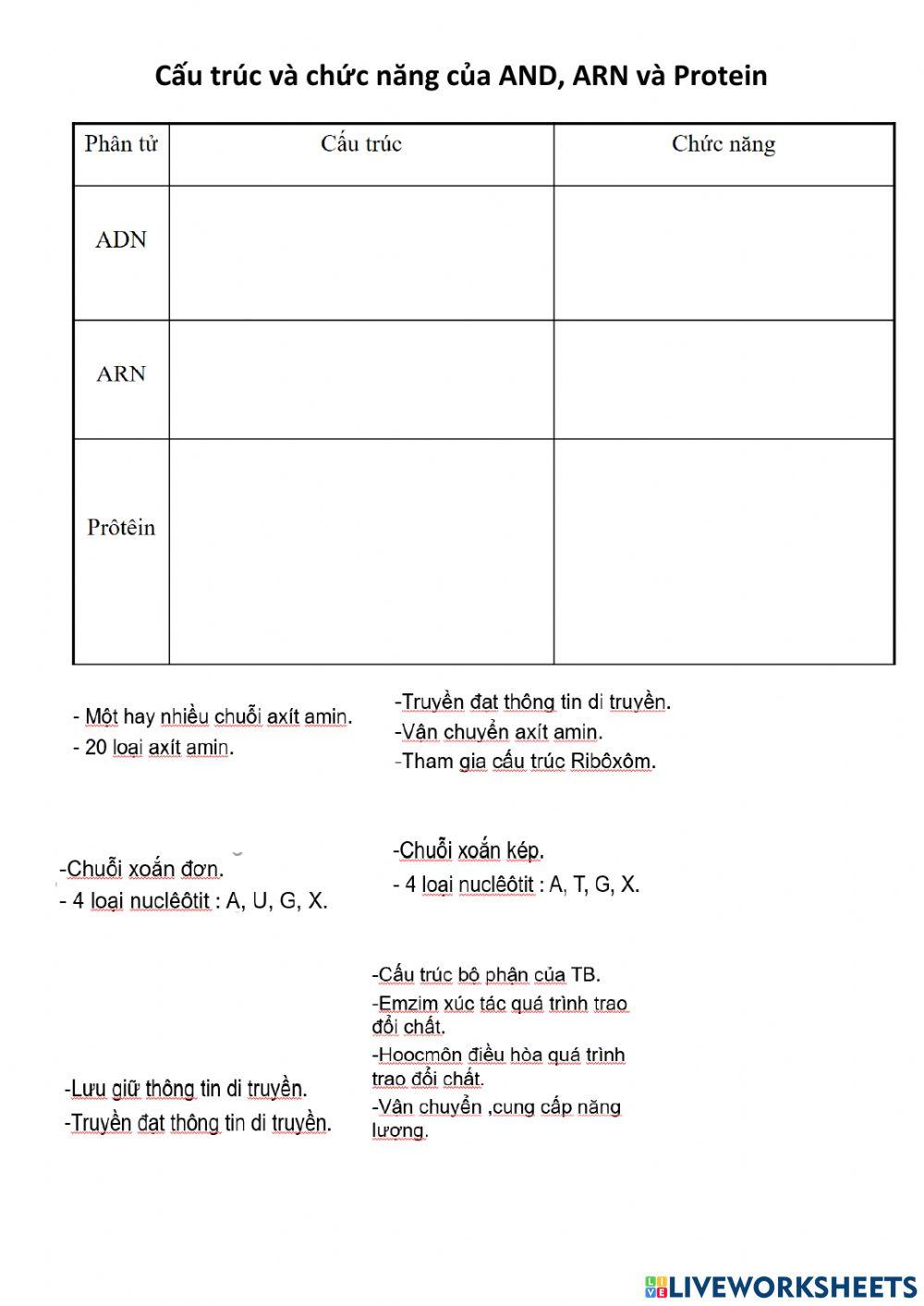 Cấu trúc và chức năng của ADN, ARN, Protein