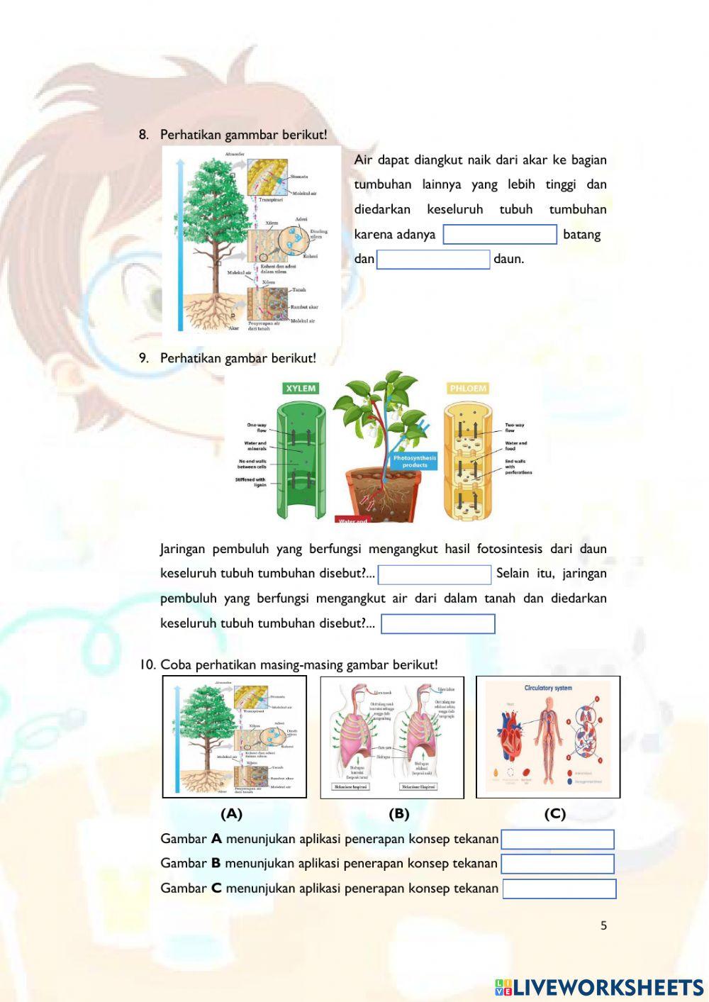 Tekanan Gas & Aplikasi Konsep Tekanan (Zat Padat, Cair, dan Gas) dalam Kehidupan