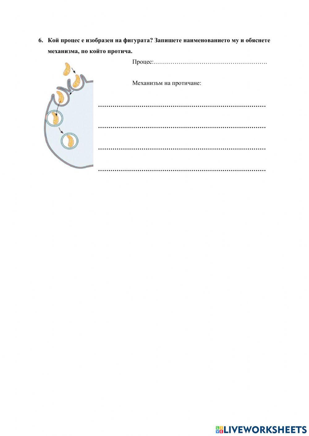 Строеж на клетката