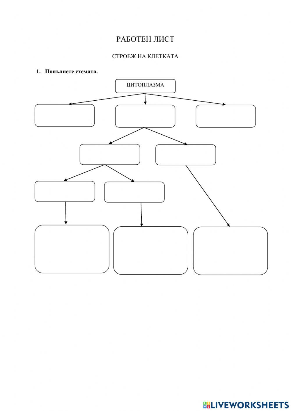 Строеж на клетката -1 worksheet | Live Worksheets