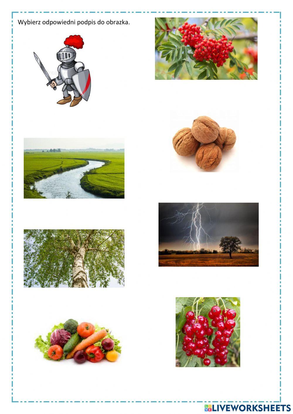 Czytanie ze zrozumieniem