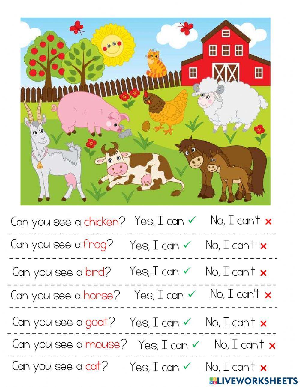 Can-can't farm animals