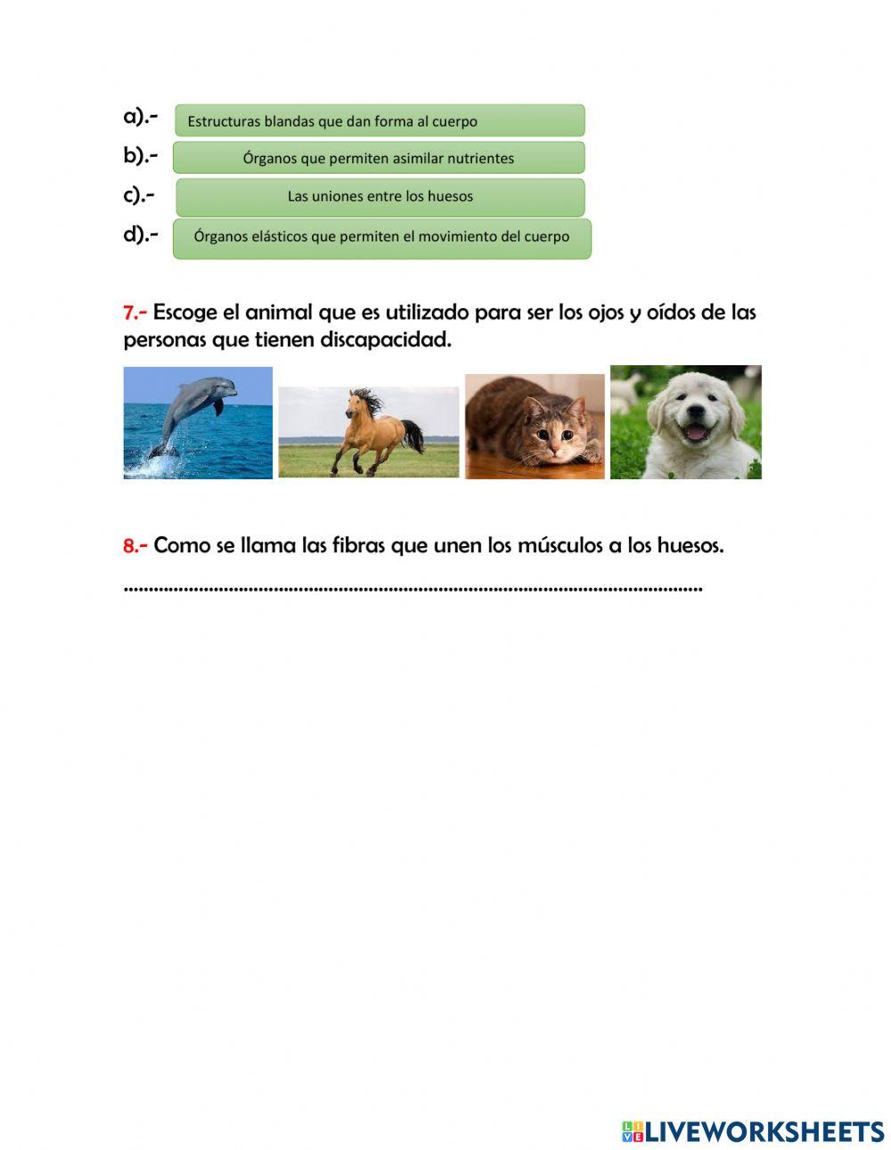 Examen qui 1 naturales tercero