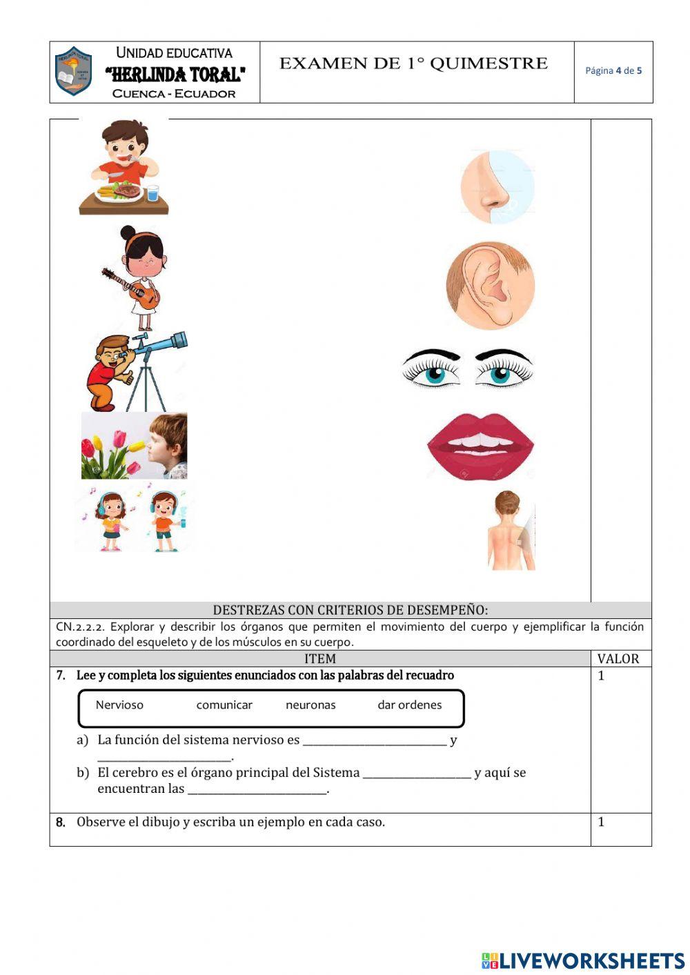 Examen Quimestral CCNN