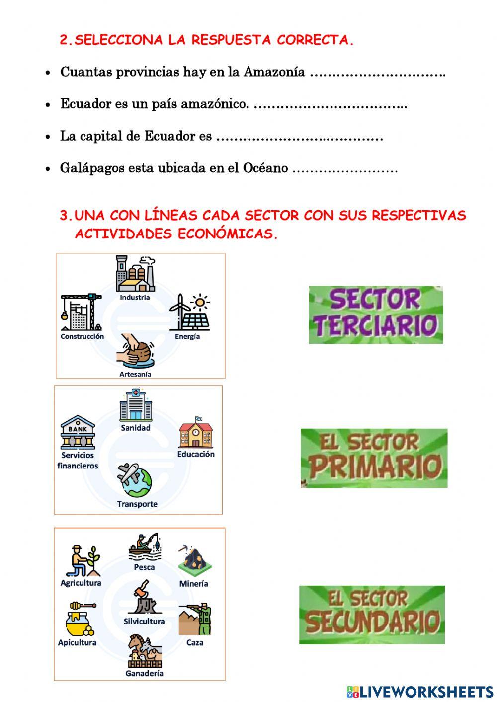 Evaluación Sociales 2p- 2q