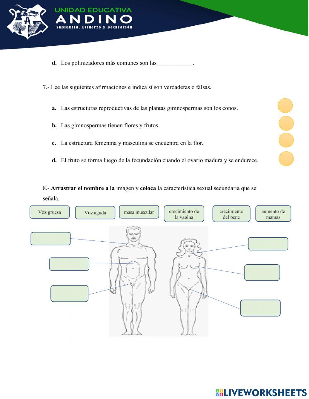 Evaluación de Ciencias Naturales Sexto Año