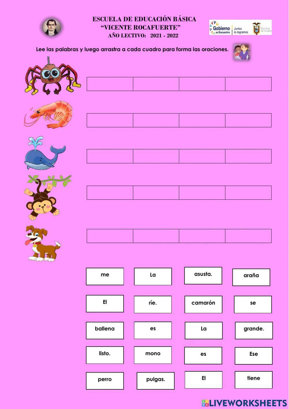 Formación de palabras