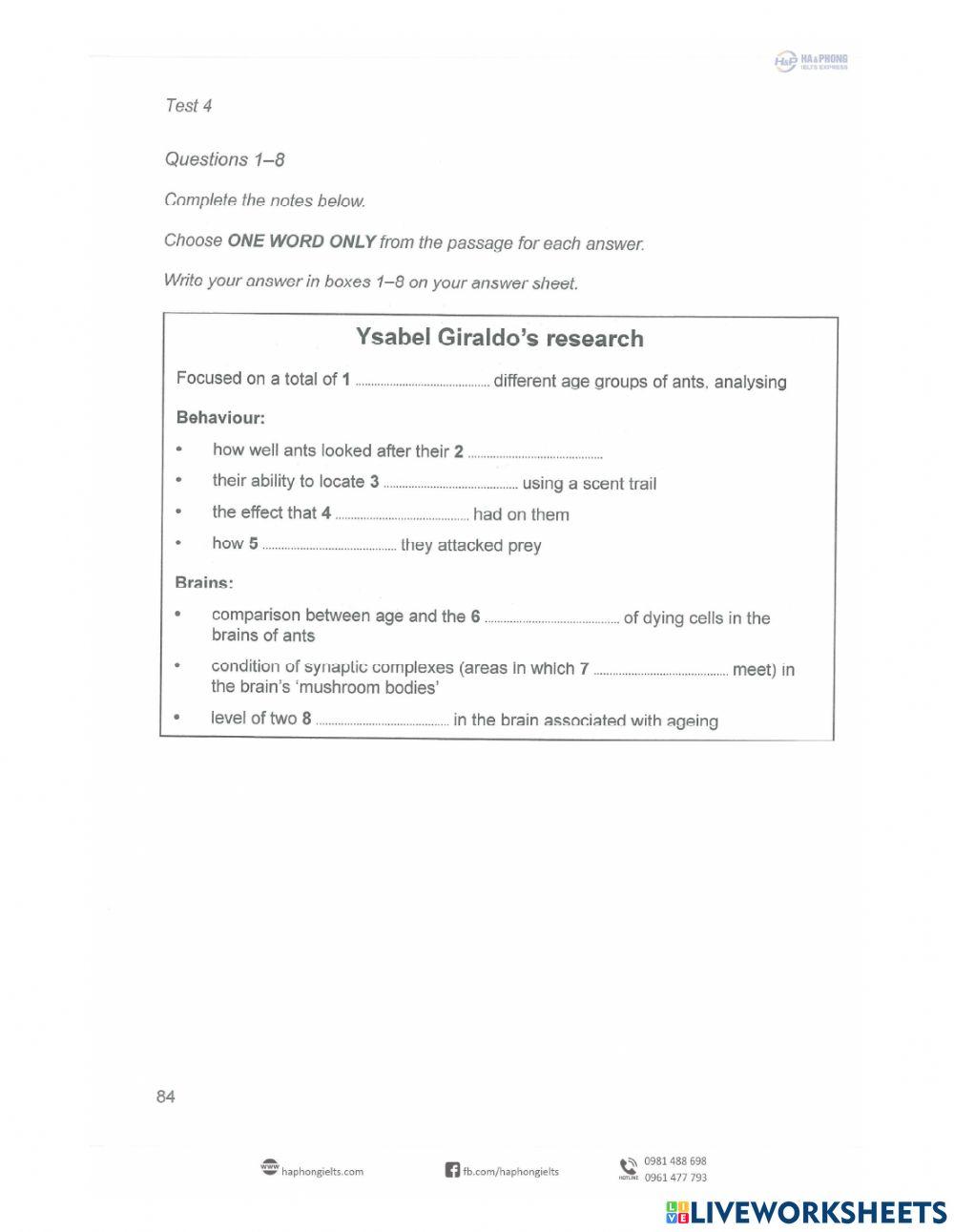 Foundation Reading Tet