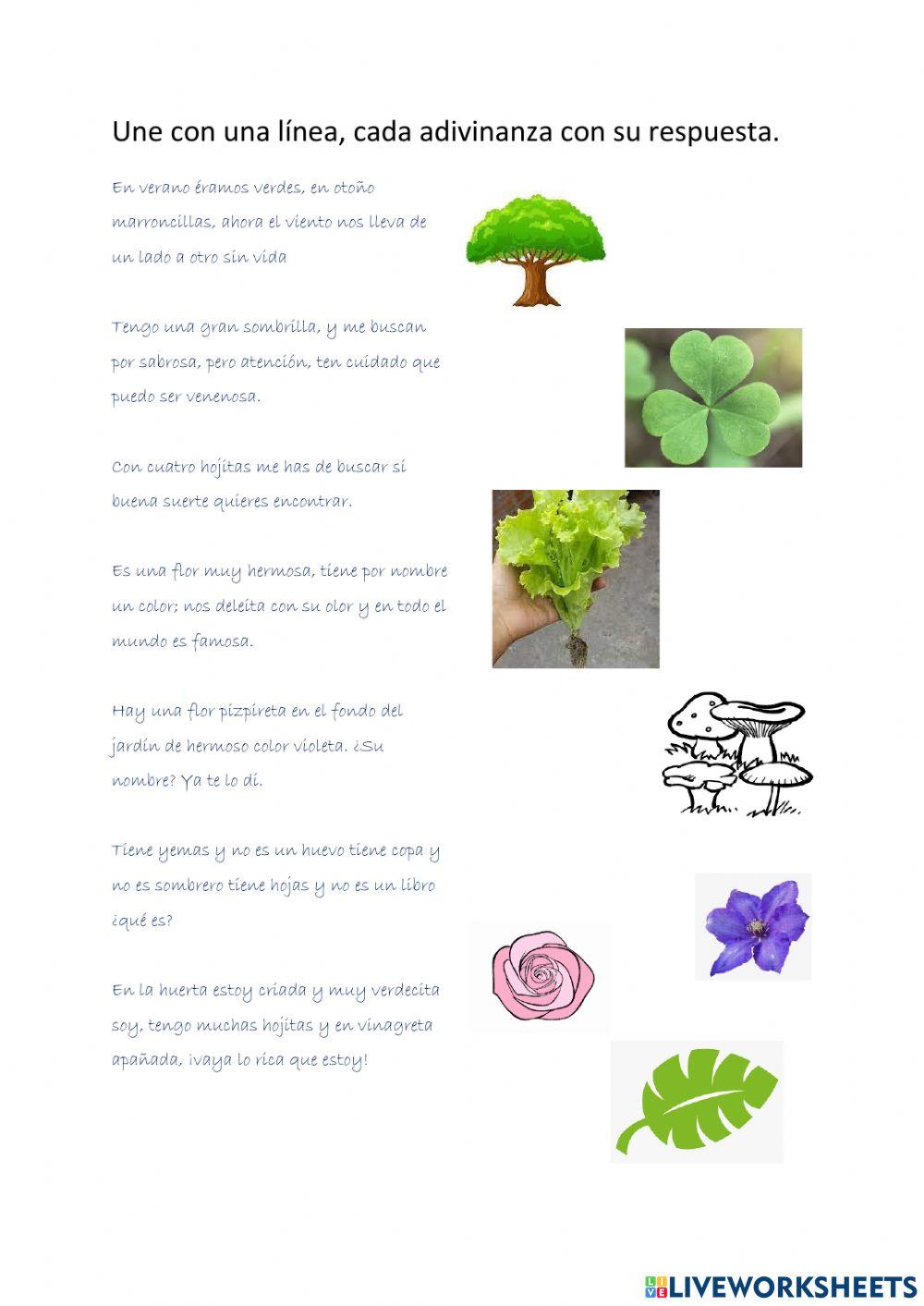 Adivinanzas del reino vegetal