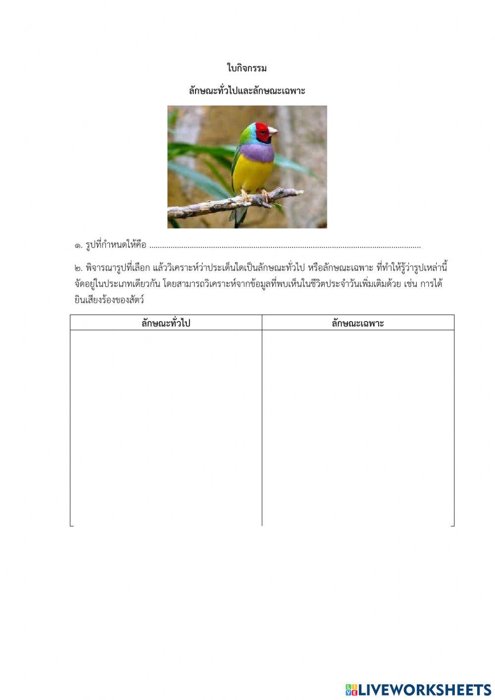 ลักษณะทั่วไปและลักษณะเฉพาะ