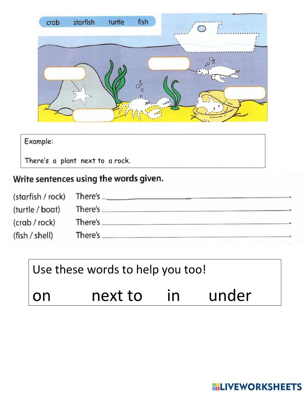 Unit 4 Grammar Review