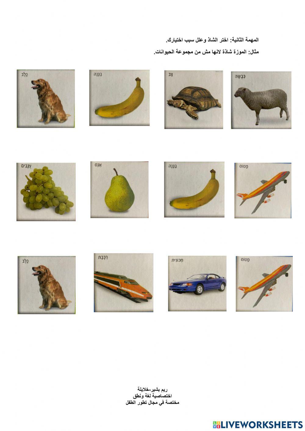 מיון, יוצא דופן, מודעות פונולוגית