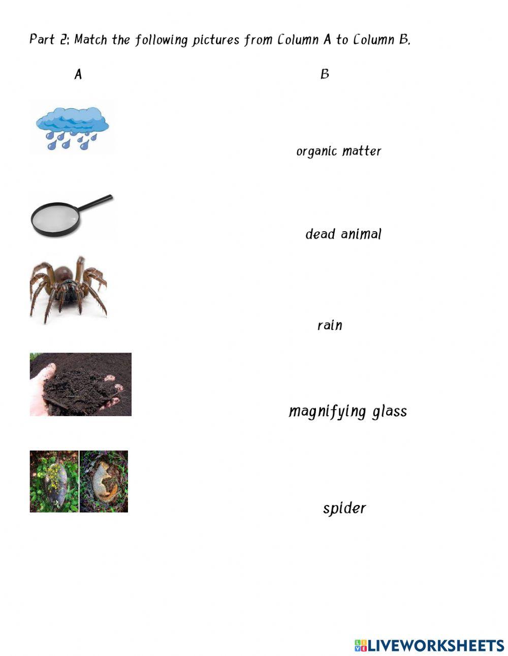 Components of Soil Grade  2