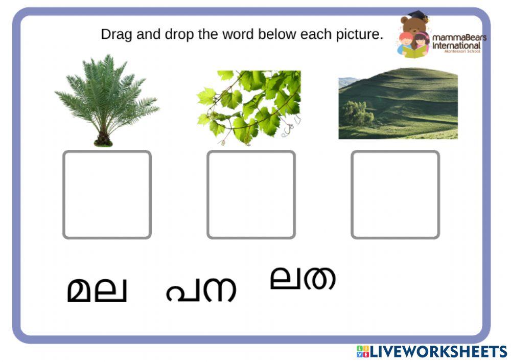 Malayalam Read Drag and Drop Activity