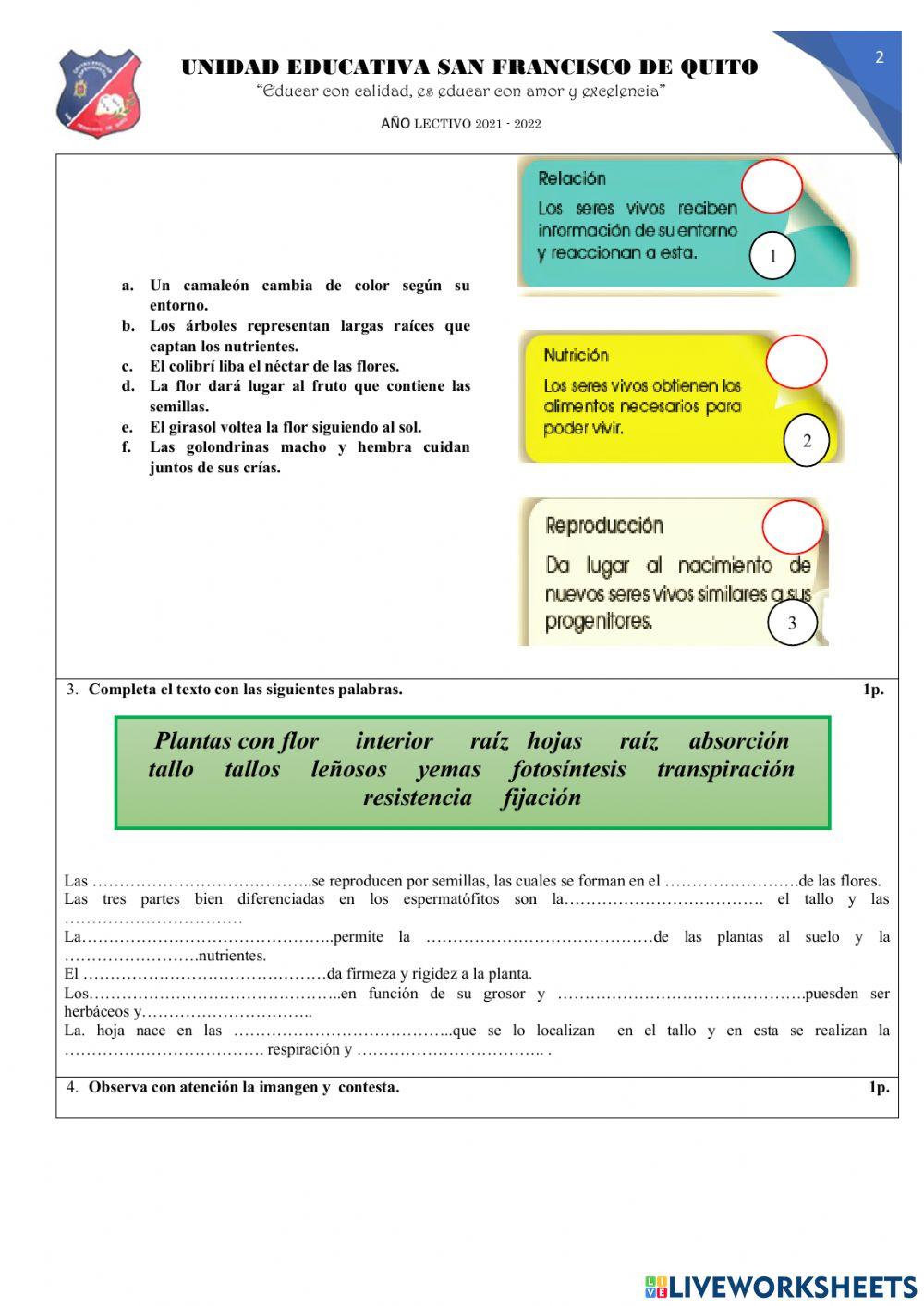 Las planta y los seres vivos