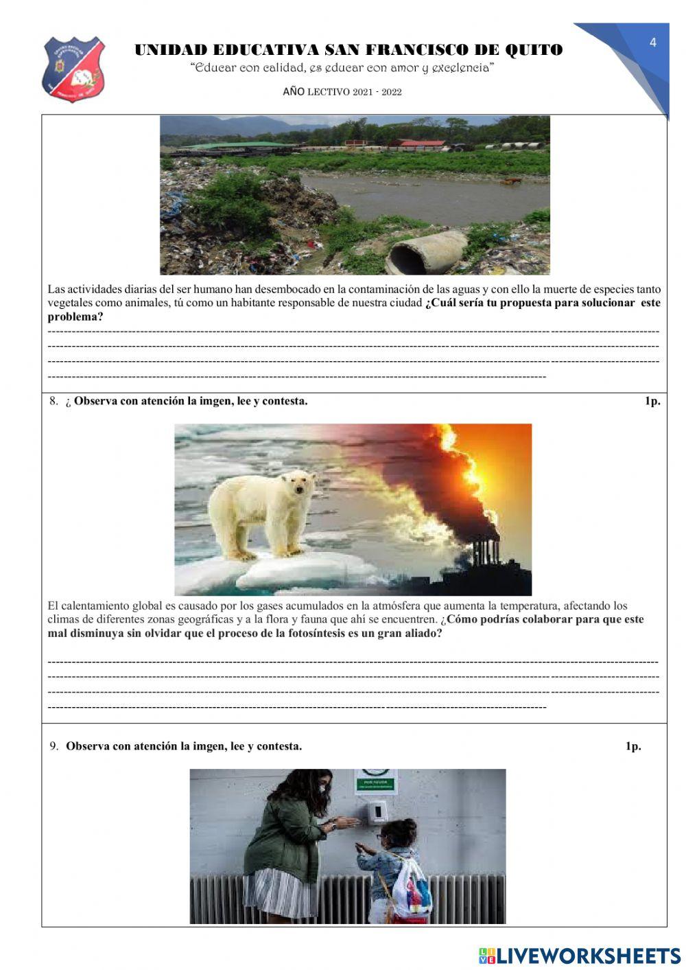 Las planta y los seres vivos