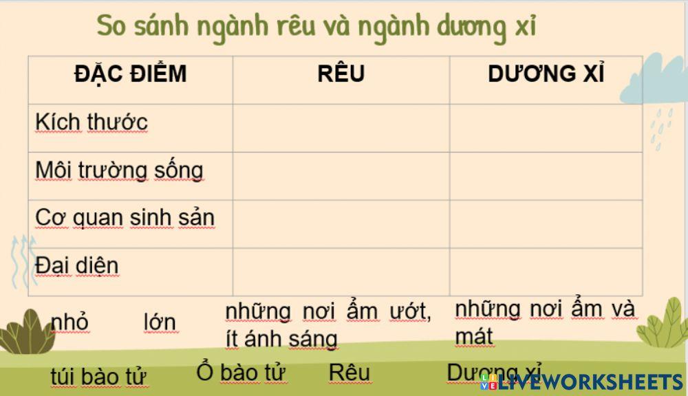Phân biệt rêu và dương xỉ