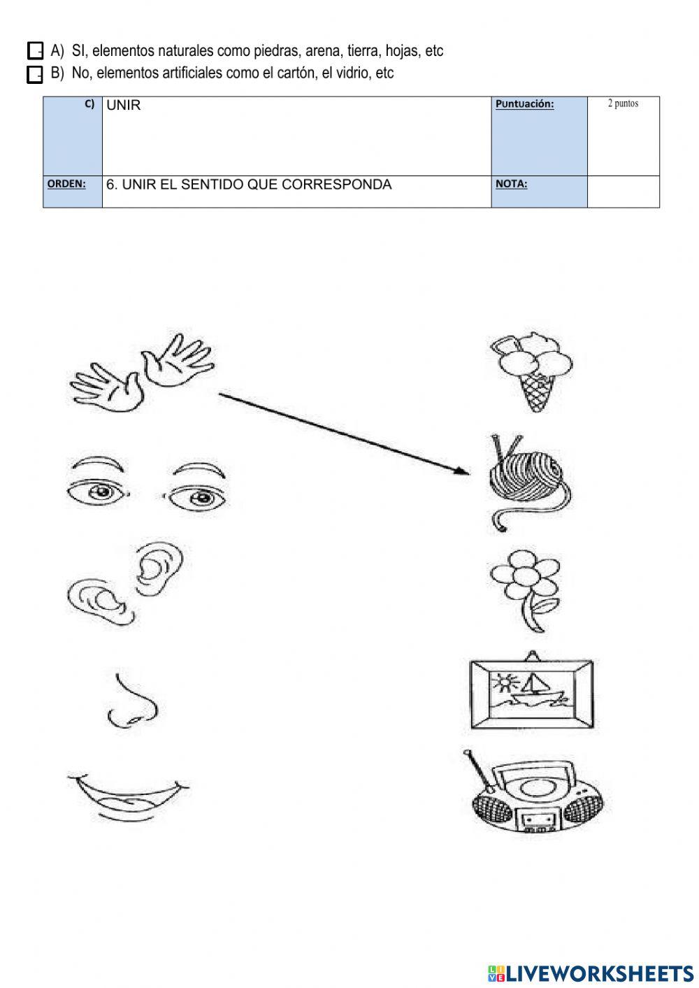 Evaluaciòn de eca iip iiq 4to