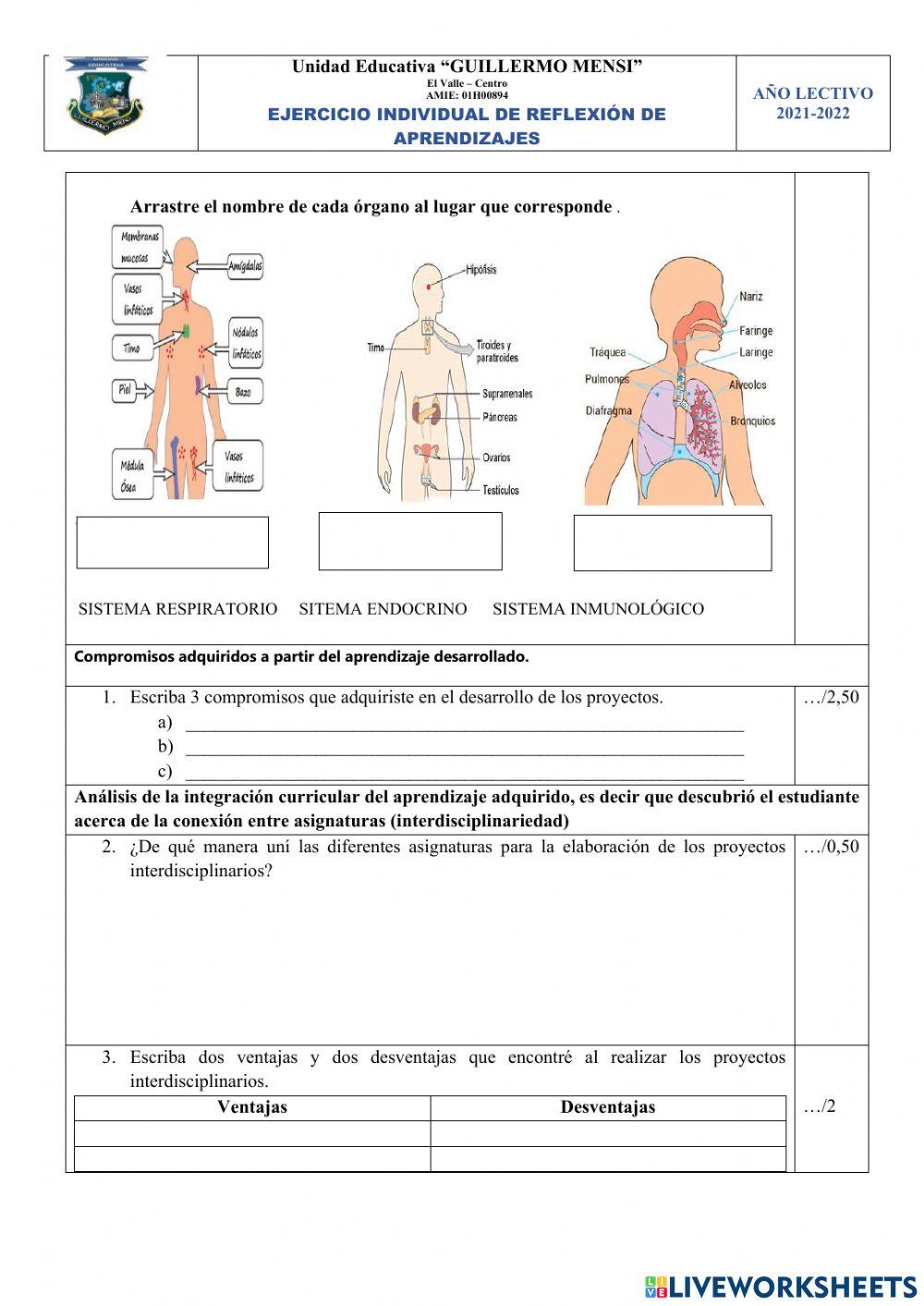 Examen de Anatomía NEE