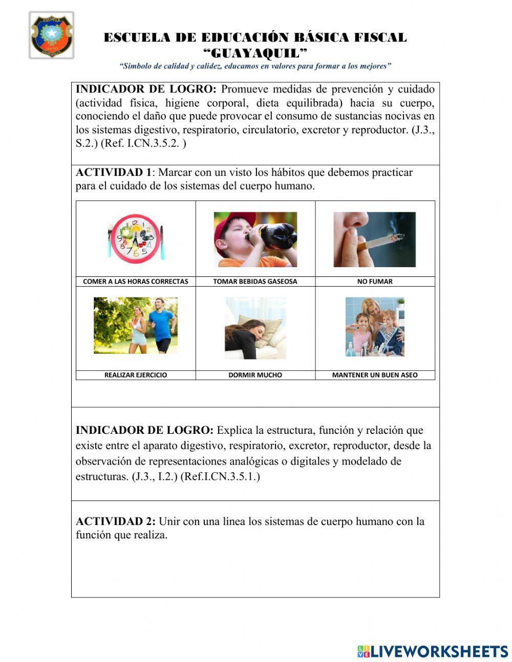 Evaluación quimestral