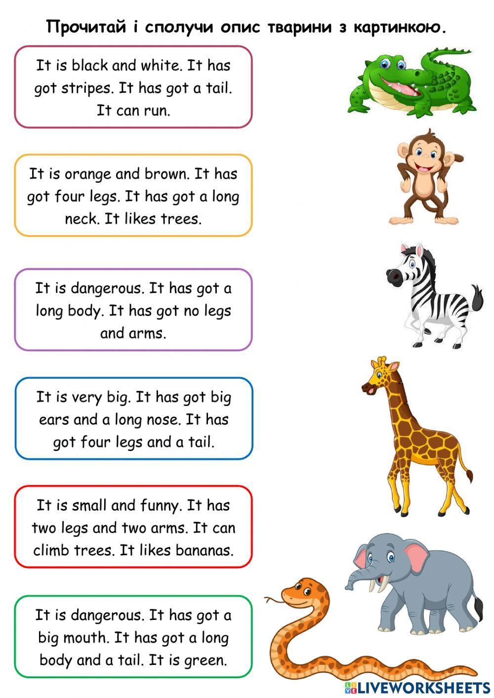 Describing Jungle Animals