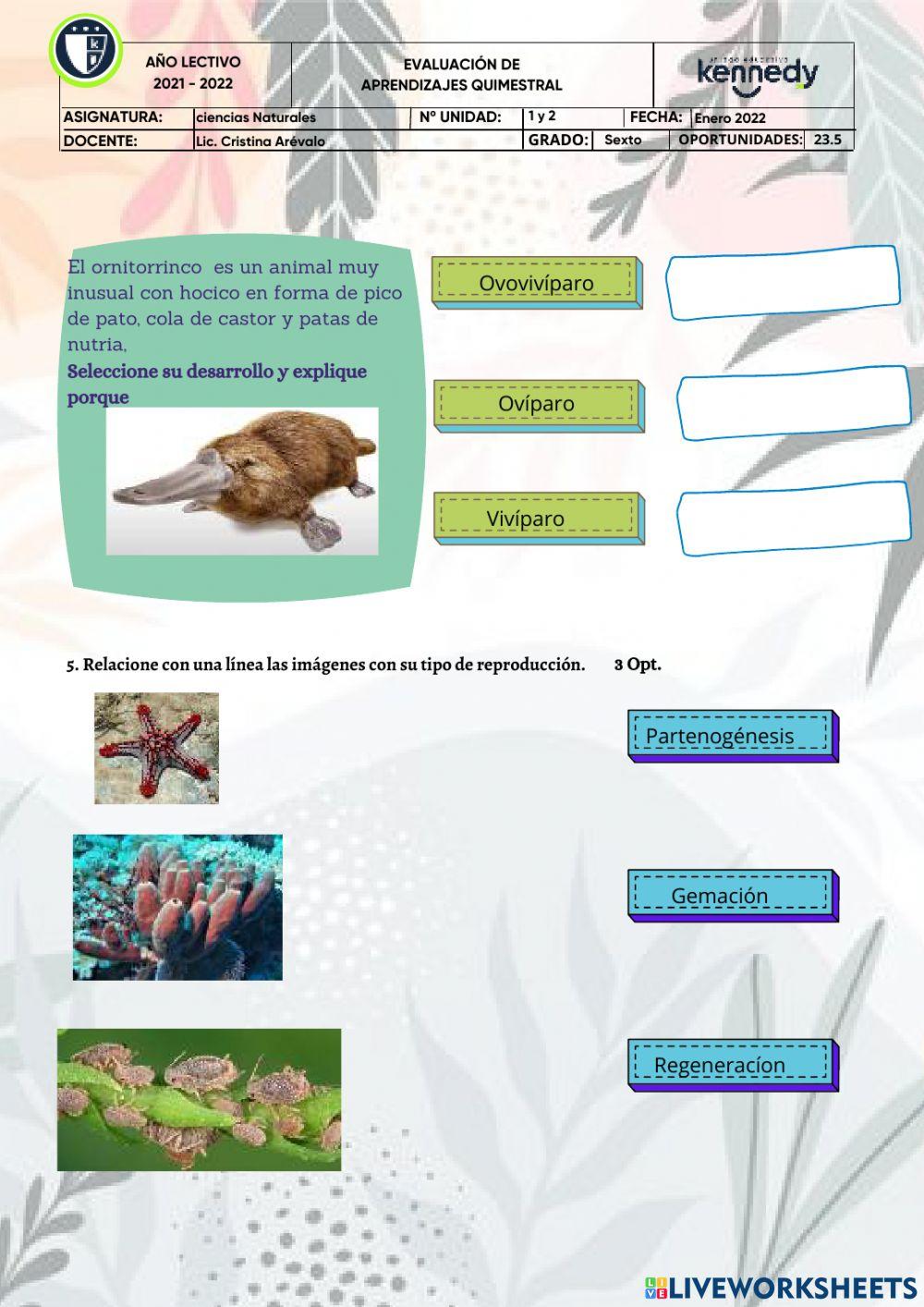 Examen Ciencias Naturales