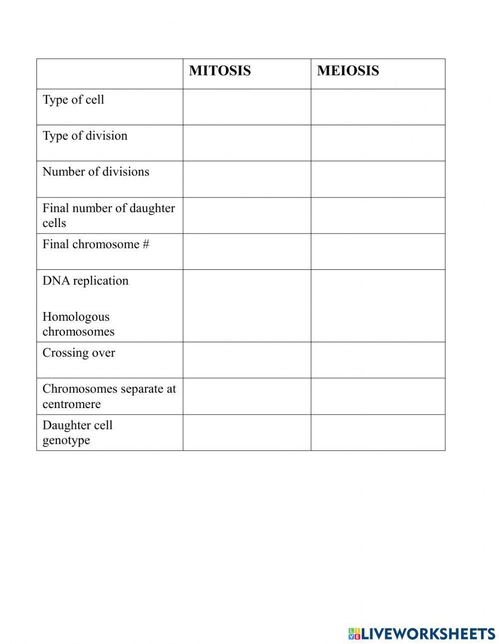 Meiosis Vs Mitosis Worksheet Meiosis Vs Mitosis Worksheet