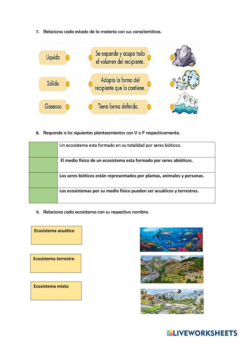 Evaluación 1 QUIMESTRE