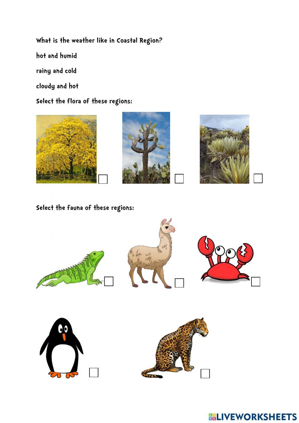 Coast and Galapagos Islands