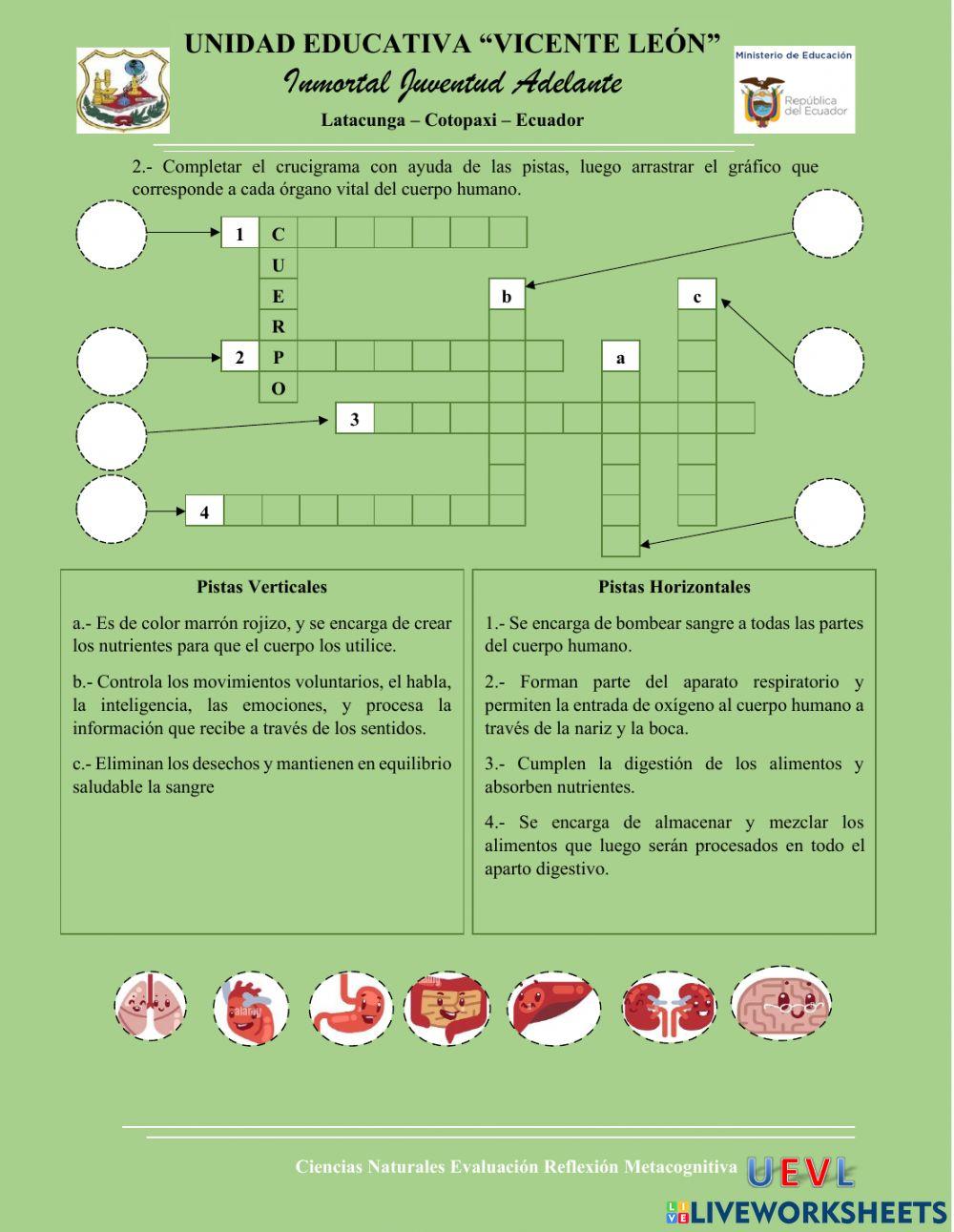 Evaluación Metacognitiva Ciencias Naturales