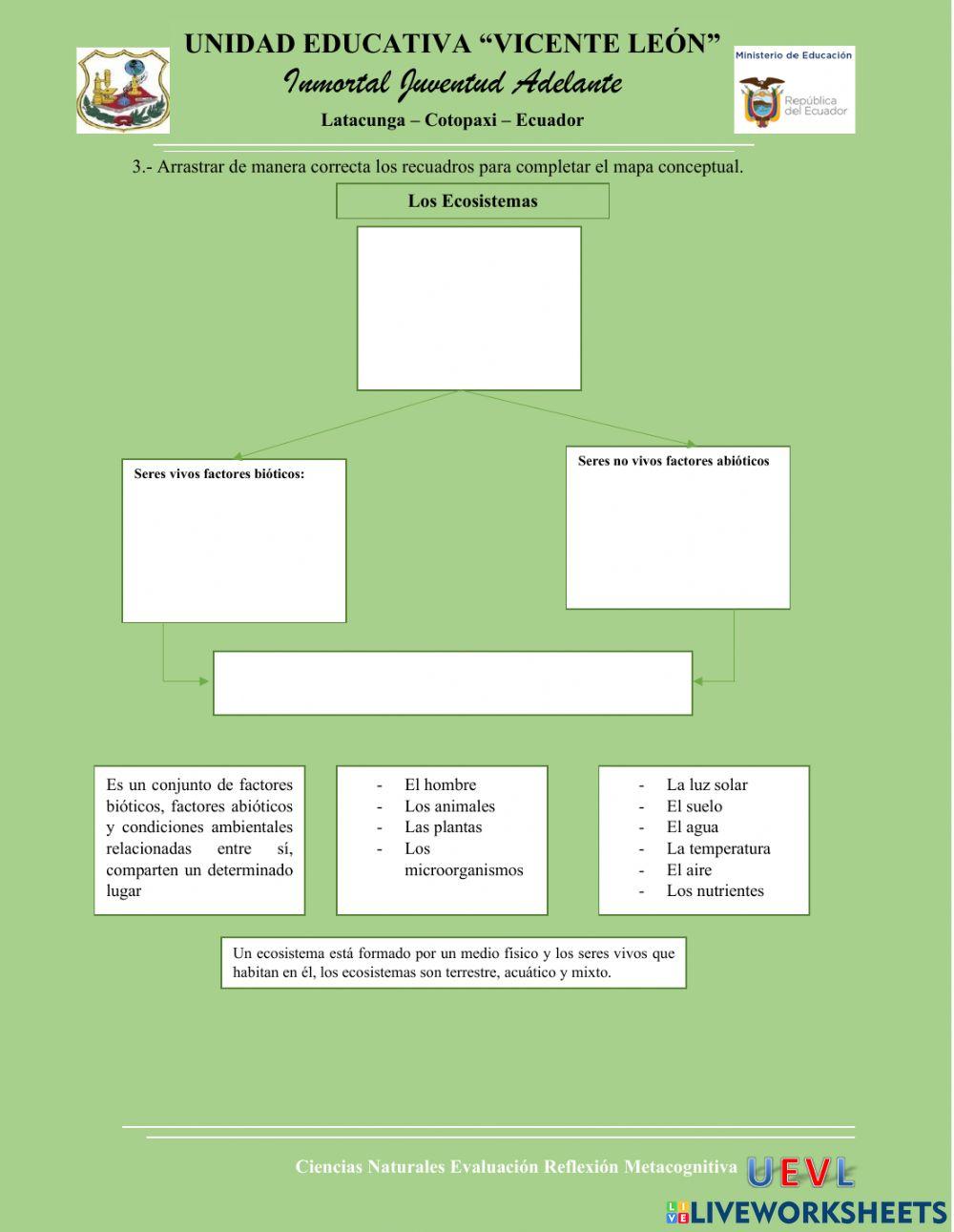 Evaluación Metacognitiva Ciencias Naturales
