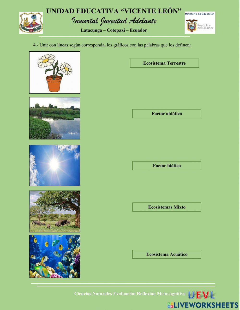 Evaluación Metacognitiva Ciencias Naturales